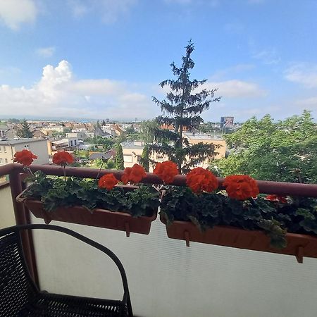 Apartman Lienka Free Parking City Centre Trencin Ngoại thất bức ảnh