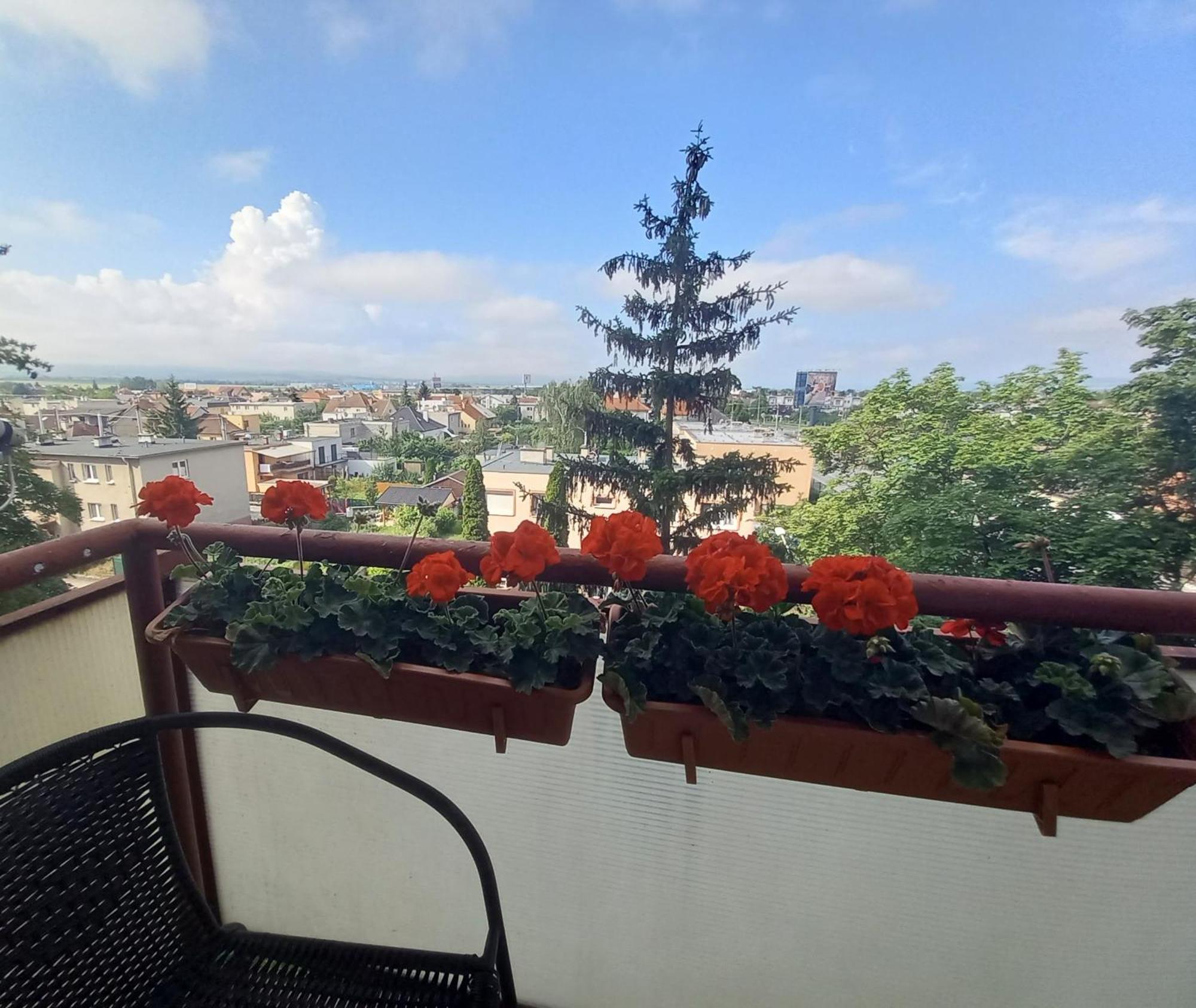 Apartman Lienka Free Parking City Centre Trencin Ngoại thất bức ảnh
